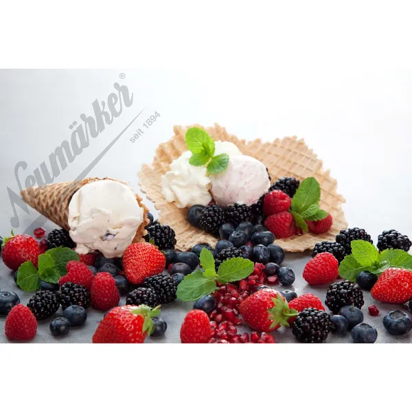 Τhermocook με πλάκες Waffoeis για χωνάκια και μπολάκια παγωτού Neumärker 12-40801-3210