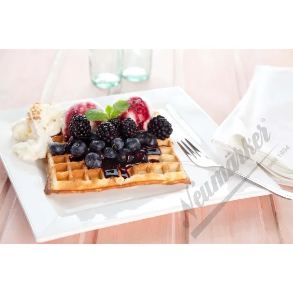 Τhermocook με πλάκες Βάφλα Kant Neumärker 12-40801-3225