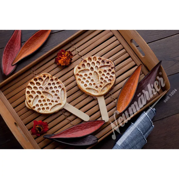 Thermocook με πλάκες Βάφλα Αρκουδάκι στο ξυλάκι Neumärker 12-40801-3131