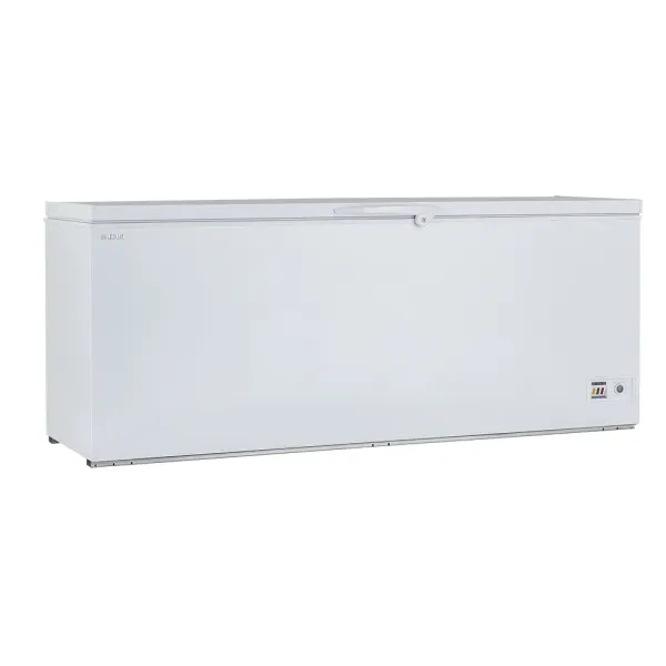 Καταψύκτης Μπαούλο 600lt LP-600A UDD 600