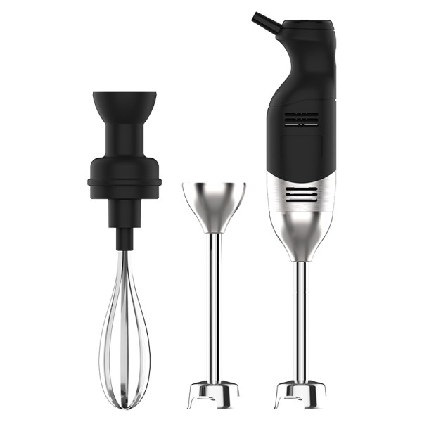 Επαγγελματικό ραβδομπλέντερ 220W IB220EV+BLD160-E