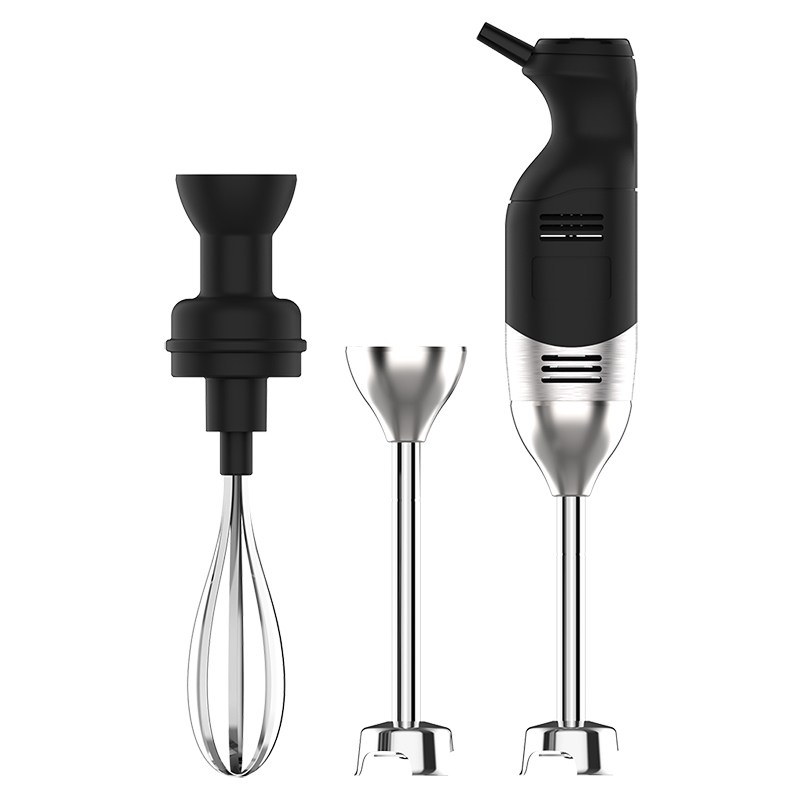 Επαγγελματικό ραβδομπλέντερ 220W IB220EV+BLD160-E